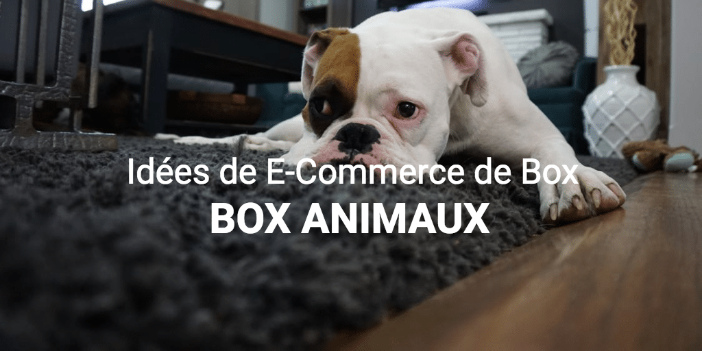 Démarrer un E-Commerce de Box pour animaux, une Pet Box