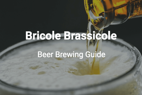 bricole brassicole