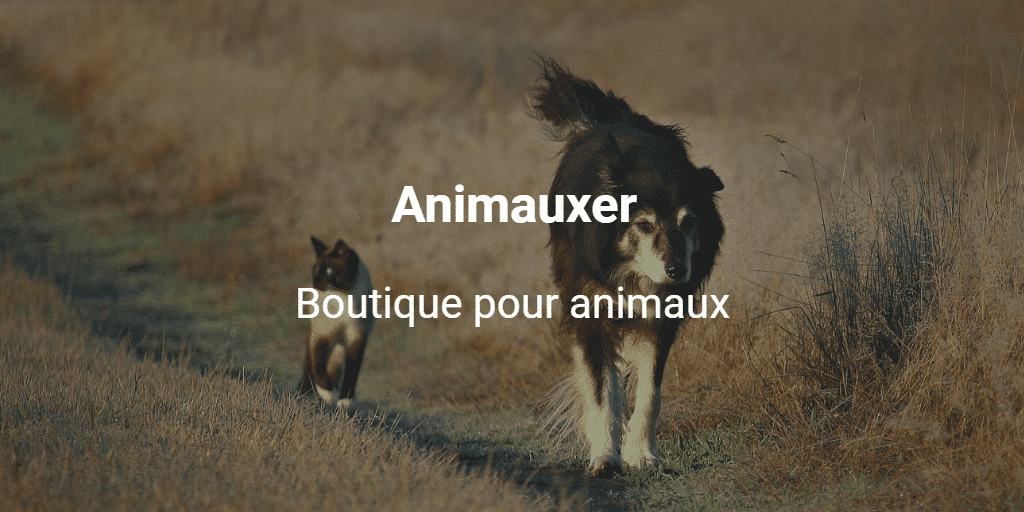 Animauxer
